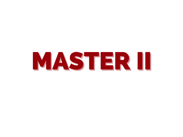 Master II kategorisi için resim